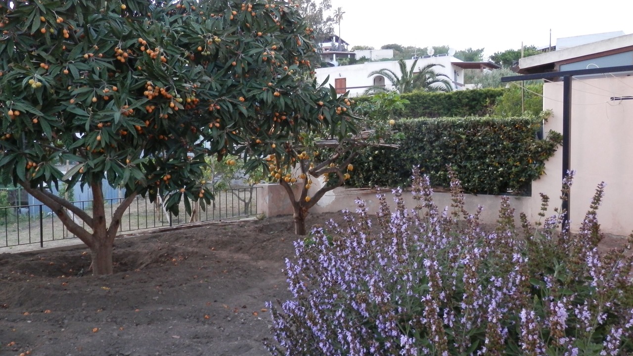 Photo of Outdoor in Lipari Historic Centre