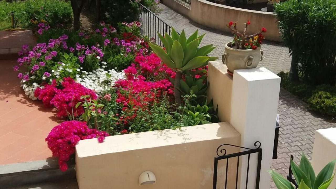 Photo of Outdoor in Lipari Historic Centre