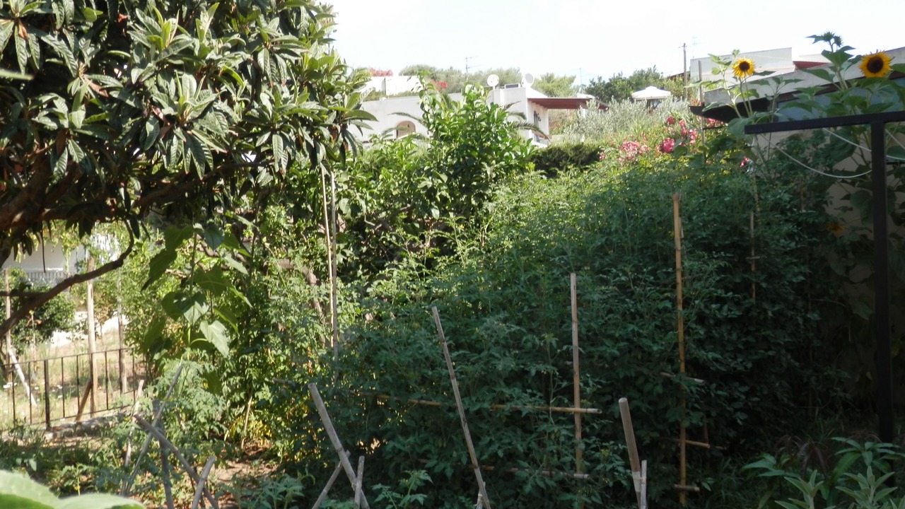 Photo of Outdoor in Lipari Historic Centre