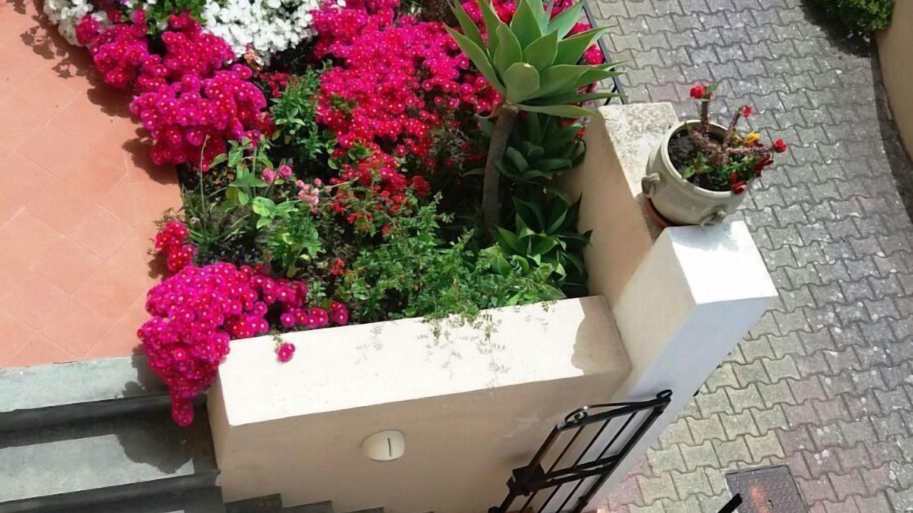 Photo of Outdoor in Lipari Historic Centre