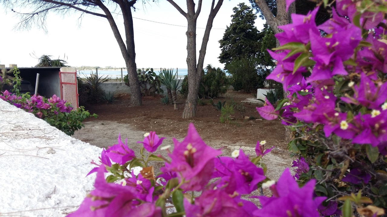 Photo of Outdoor in San Leonardo
