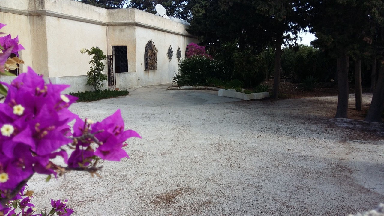 Photo of Outdoor in San Leonardo
