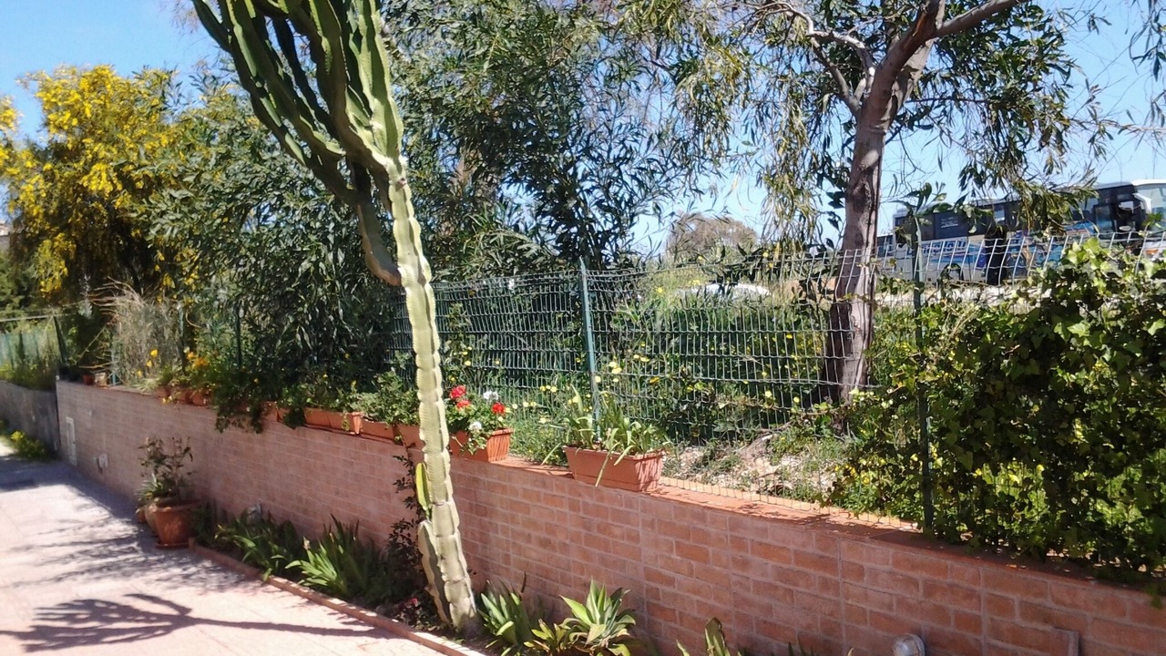 Photo of Outdoor in Cefalu