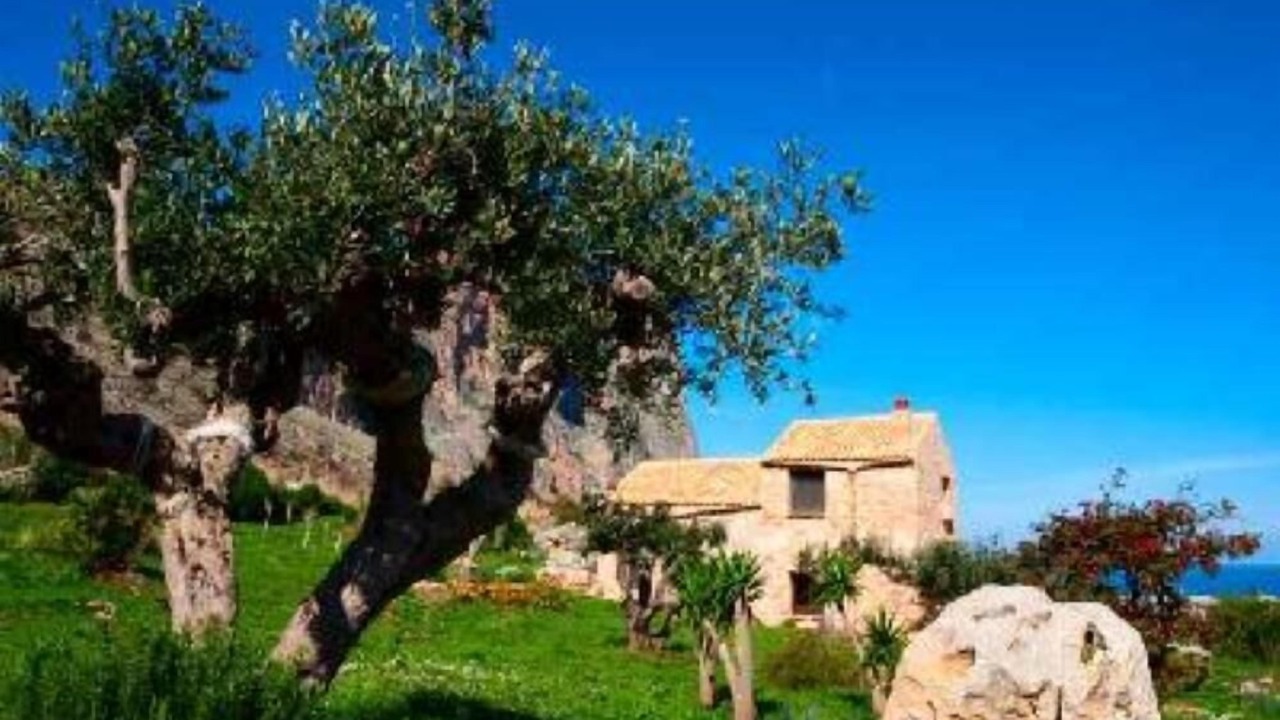 Photo of Outdoor in San Vito Lo Capo