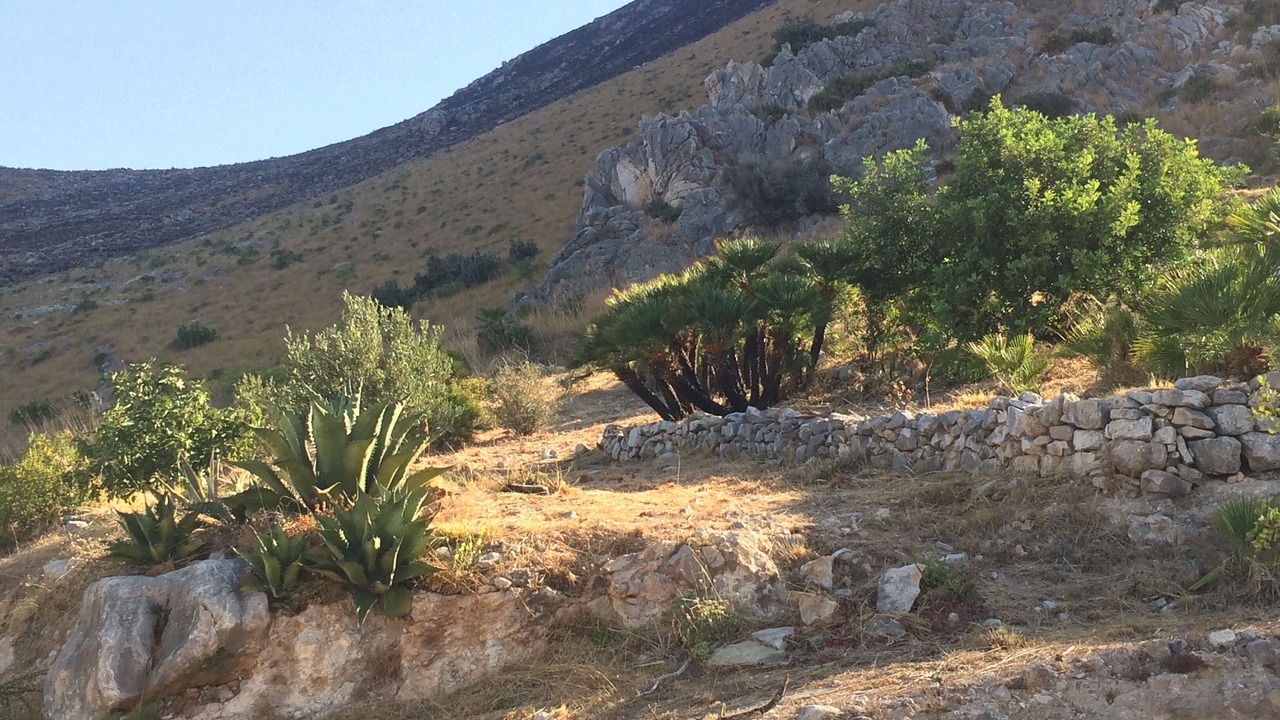 Photo of Outdoor in Macari