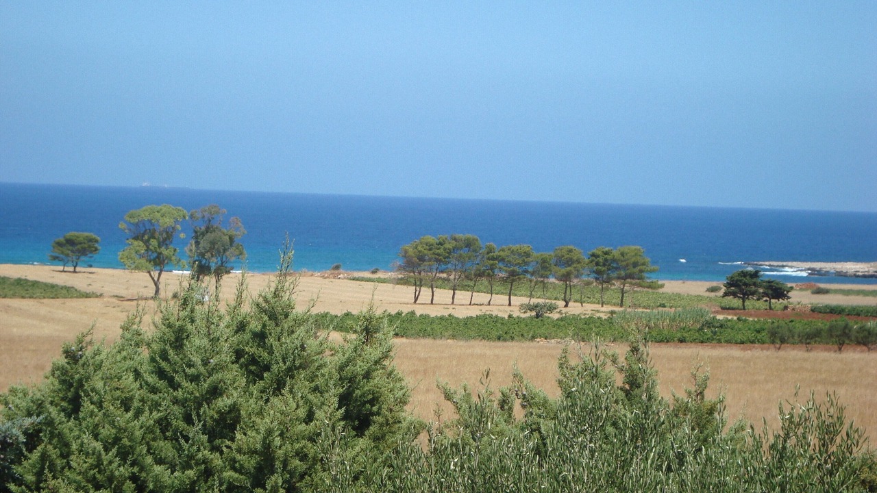 Photo of Others in Castelluzzo