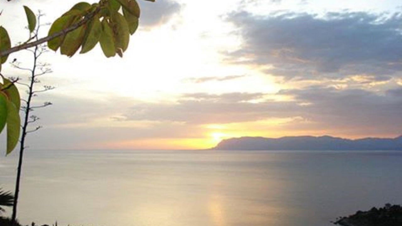 Photo of Others in Scopello