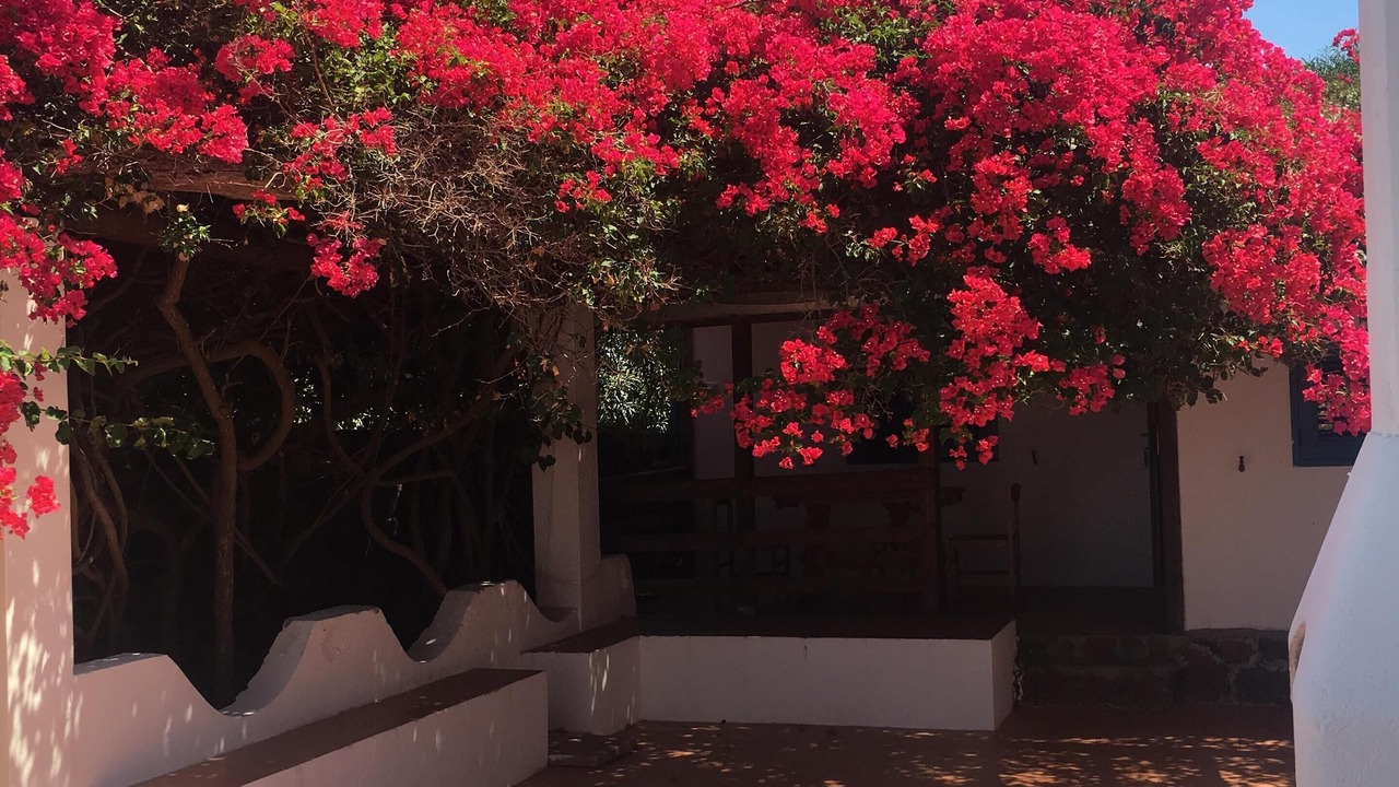 Photo of Patio Balcony in Vulcanello