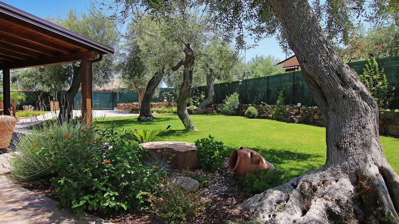 Photo of Outdoor in Capo