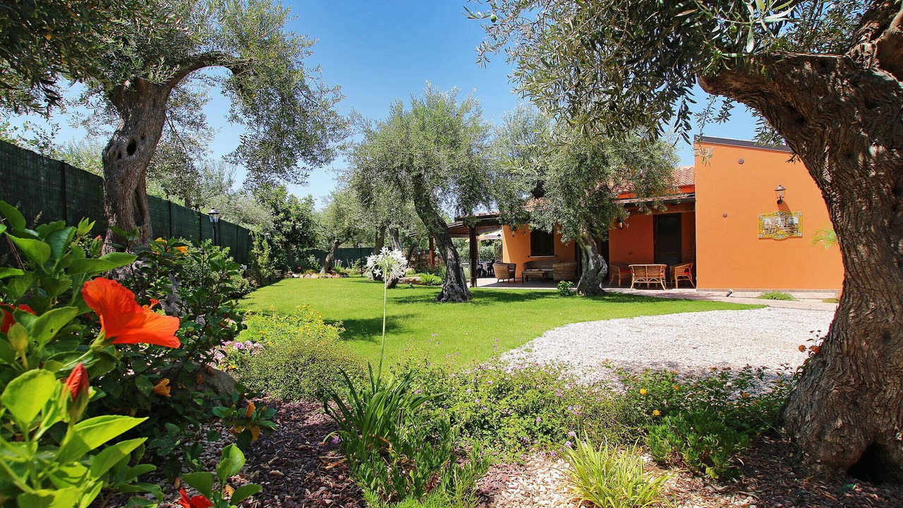 Photo of Outdoor in Capo