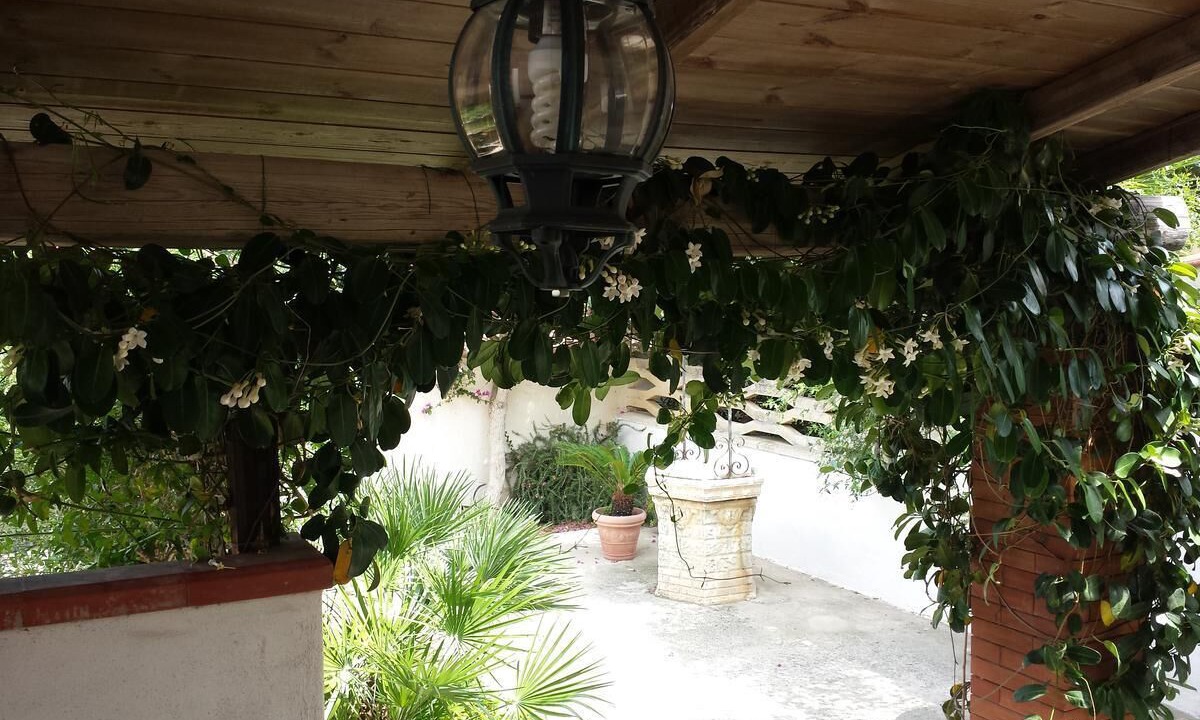 Photo of Outdoor in Mockarta