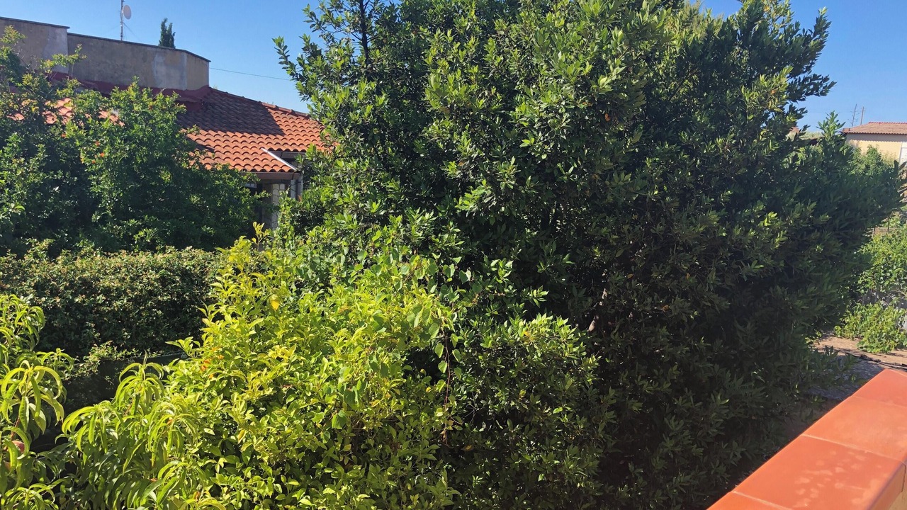 Photo of Outdoor in Contrada Fiori Sud