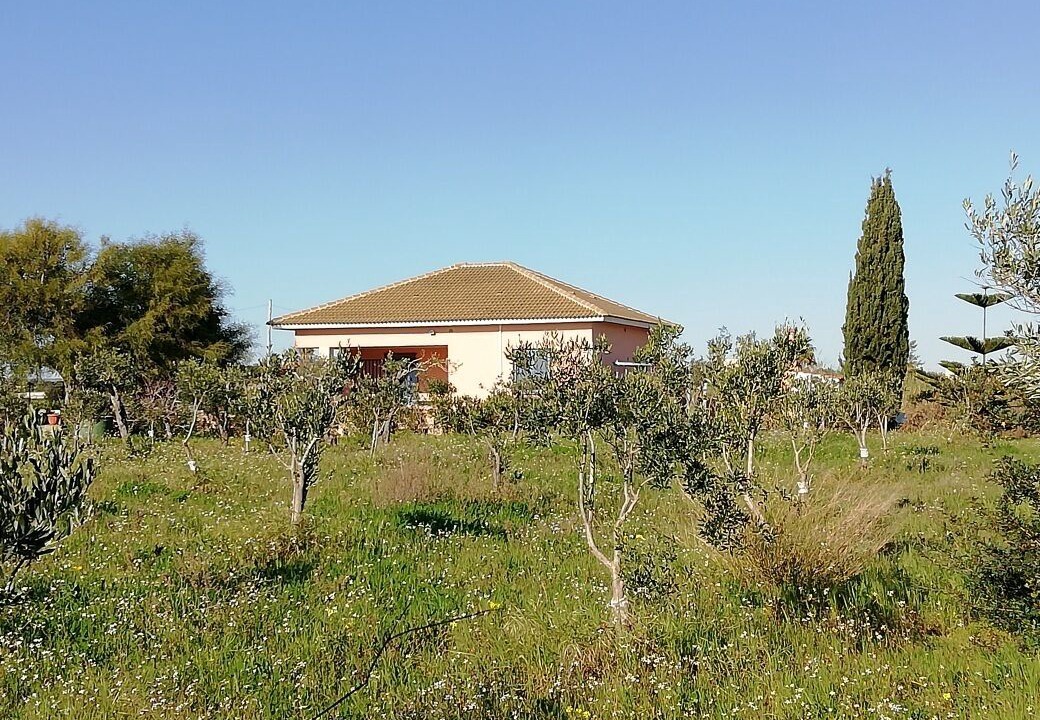 Photo of Outdoor in Santa Maria del Focallo