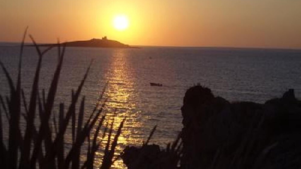 Photo of Others in Isola delle Femmine