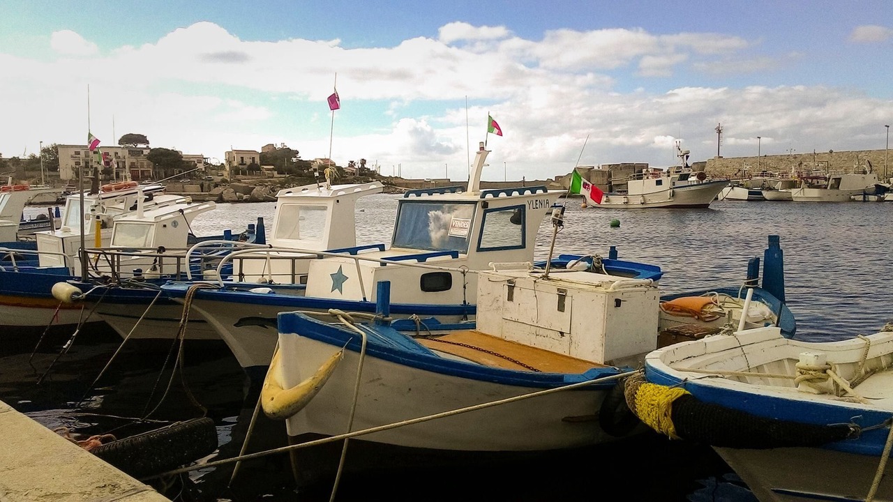 Photo of Others in Isola delle Femmine