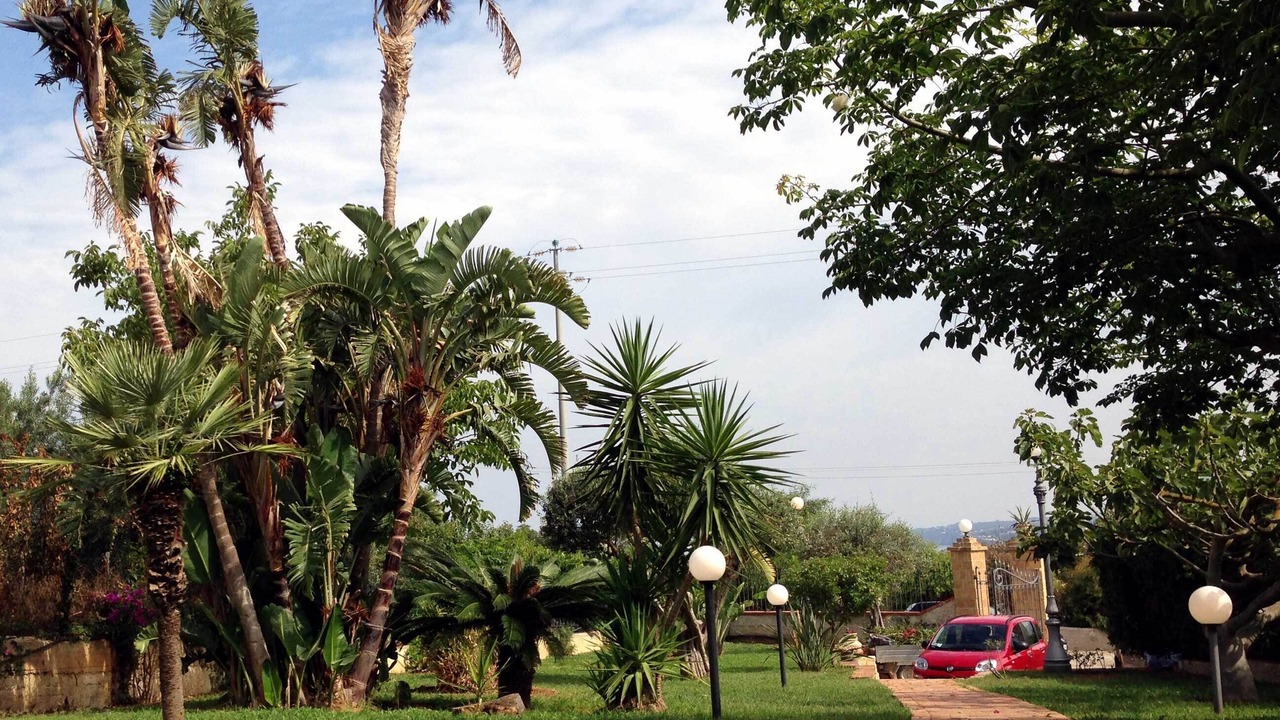Photo of Outdoor in Partinico