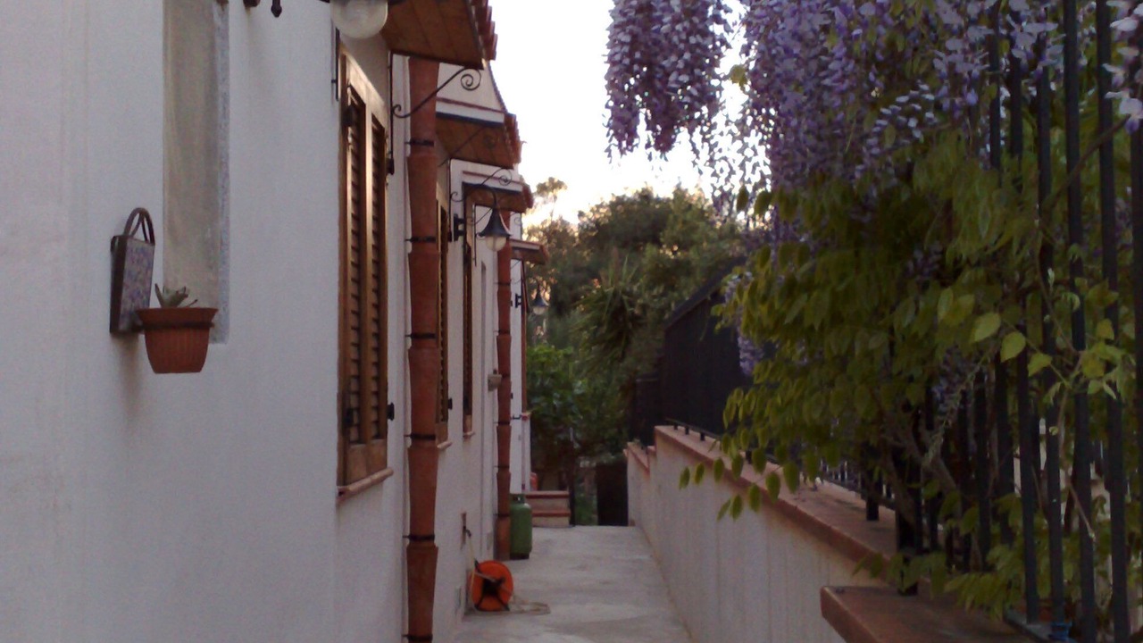 Photo of Others in Capaci