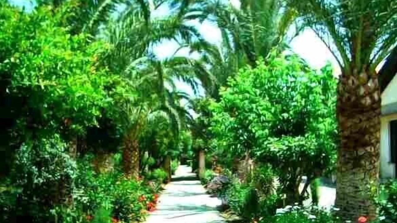 Photo of Outdoor in Oliveri