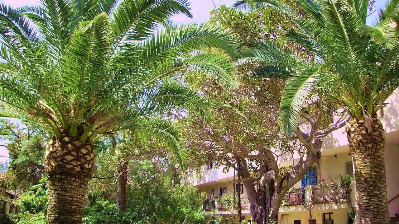 Photo of Outdoor in Oliveri