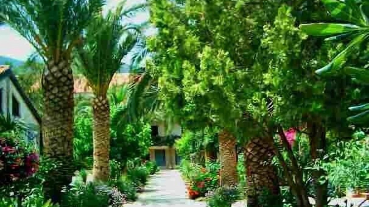 Photo of Outdoor in Oliveri