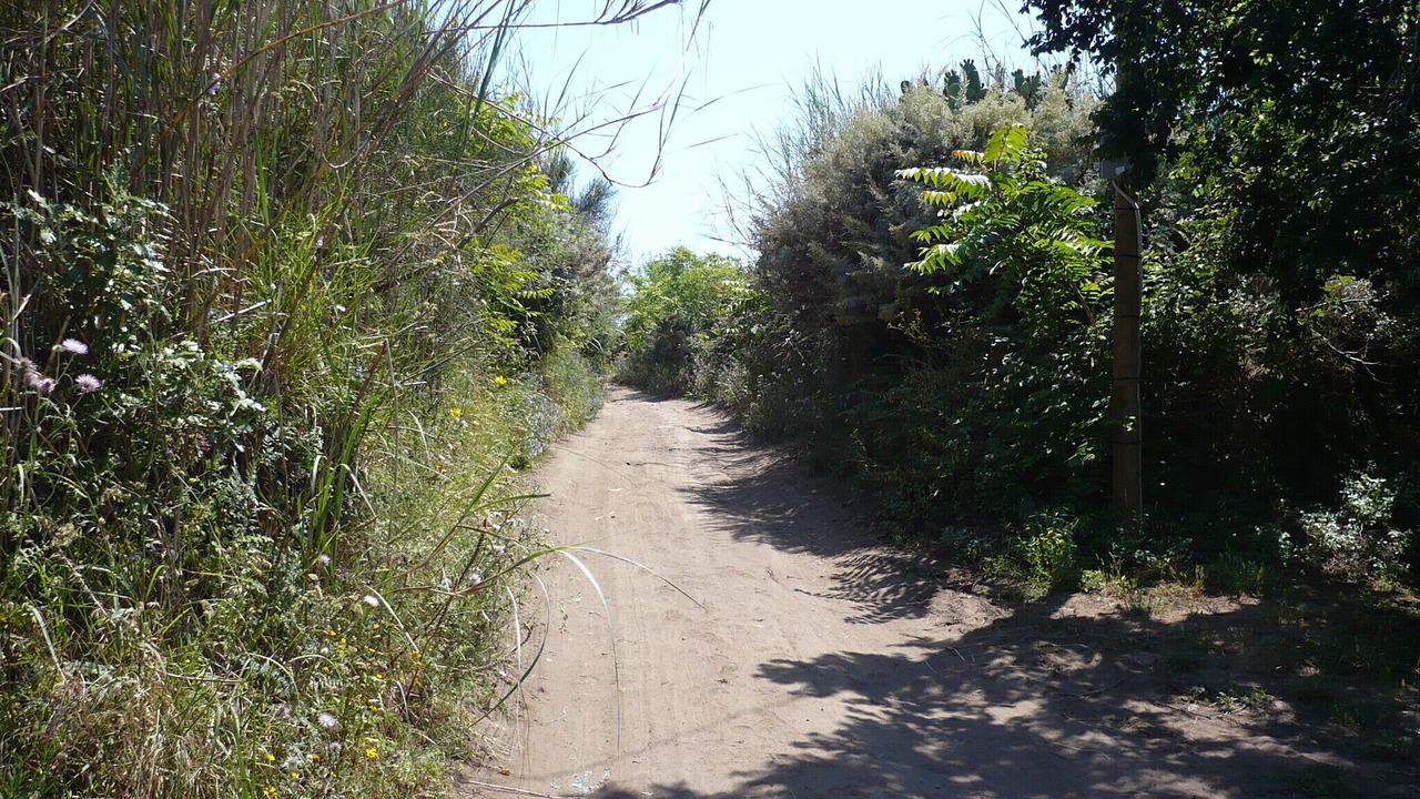 Photo of Others in Monte Gallina