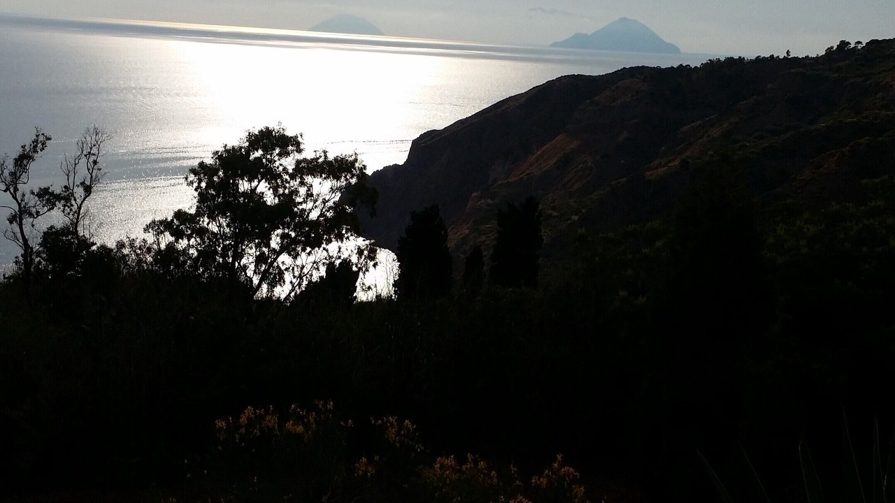 Photo of Others in Monte Gallina