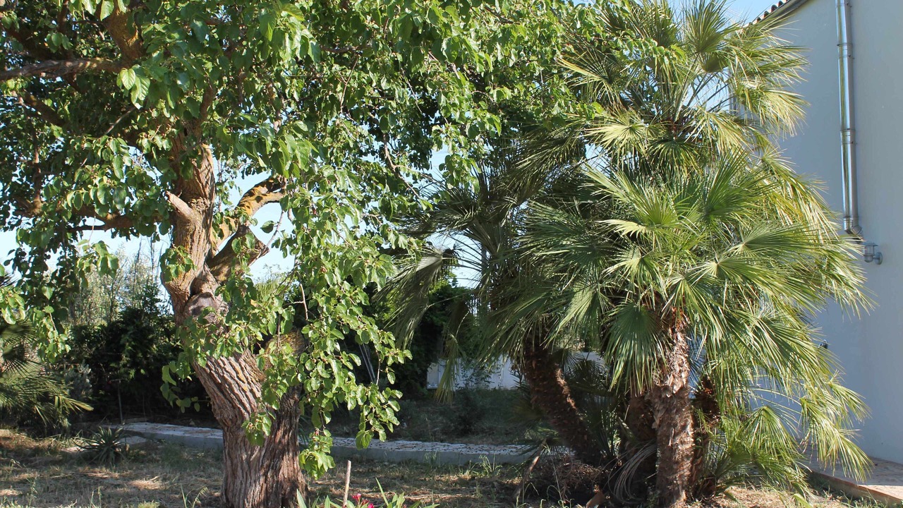 Photo of Outdoor in Marinella di Selinunte