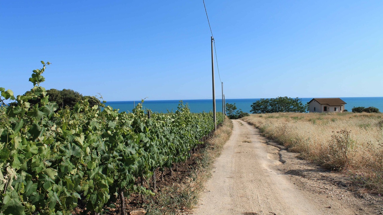 Photo of Others in Marinella di Selinunte