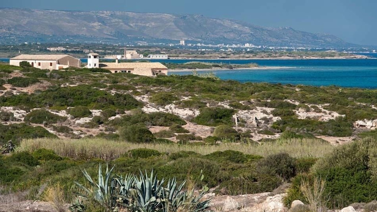 Photo of Outdoor in San Lorenzo