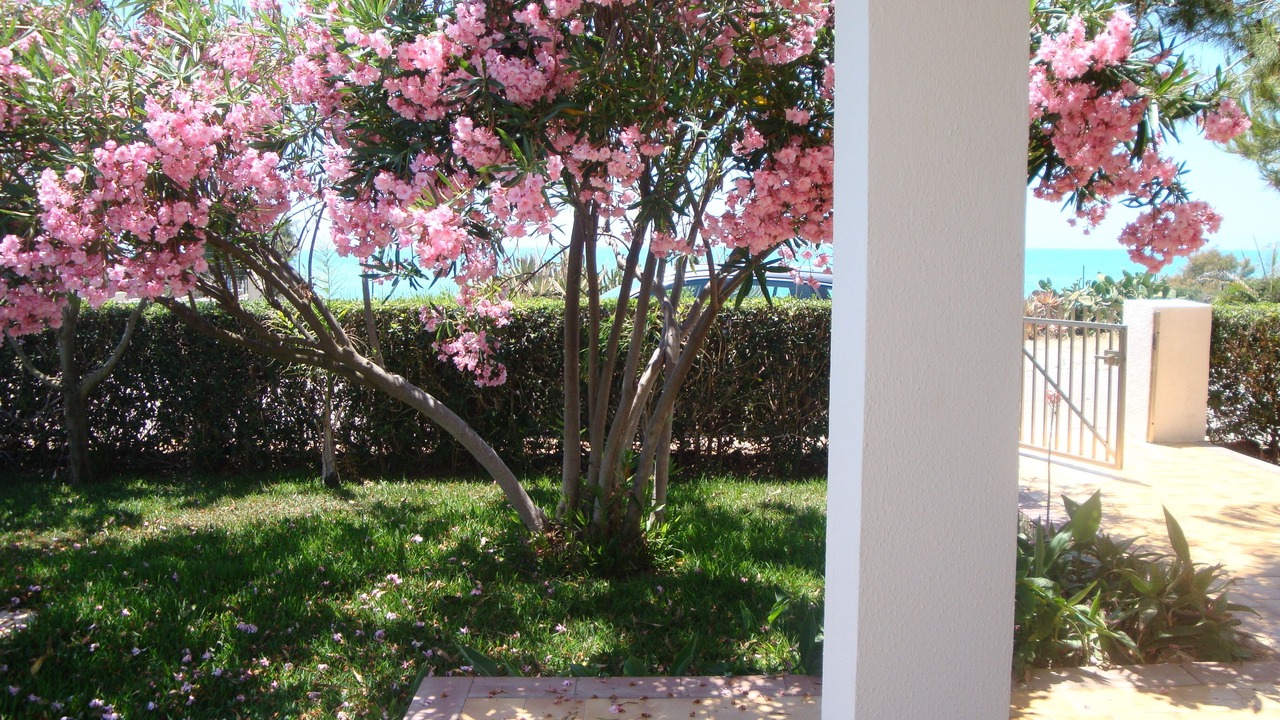 Photo of Outdoor in Punta Braccetto