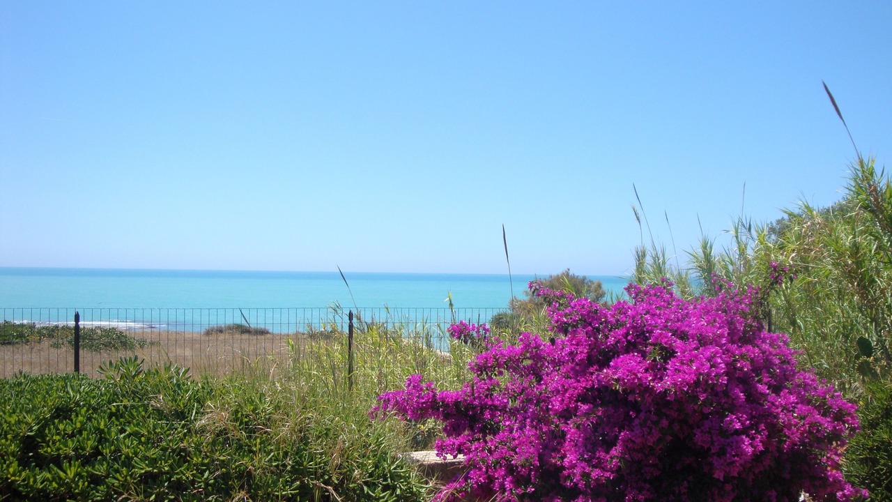 Photo of Others in Punta Braccetto