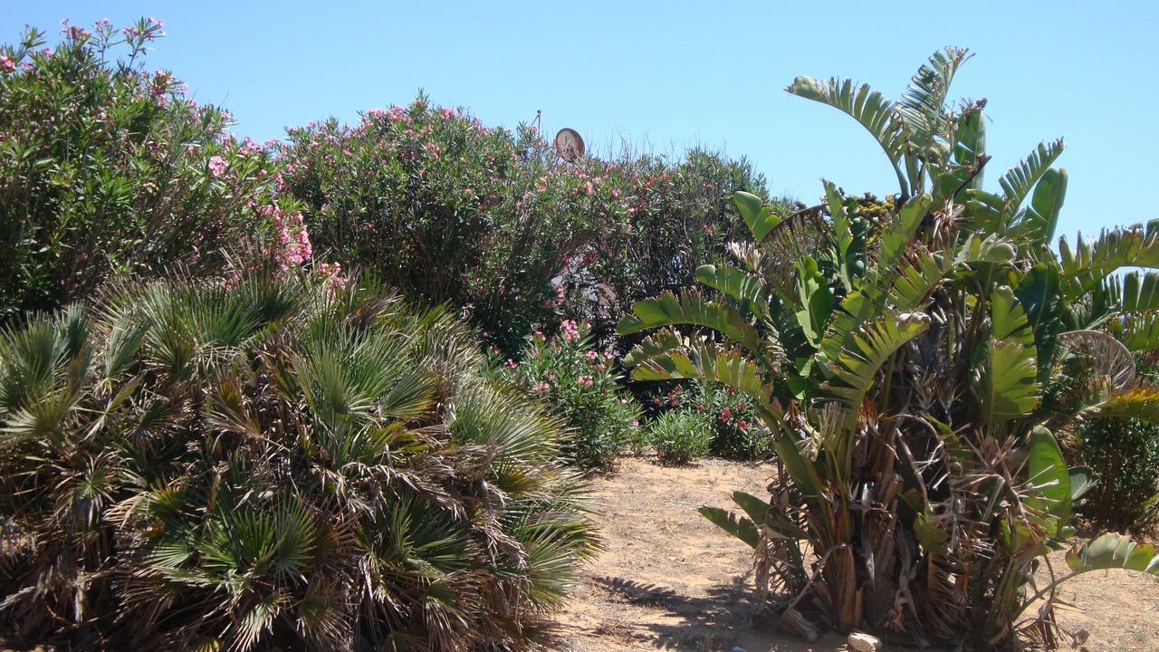 Photo of Outdoor in Punta Braccetto