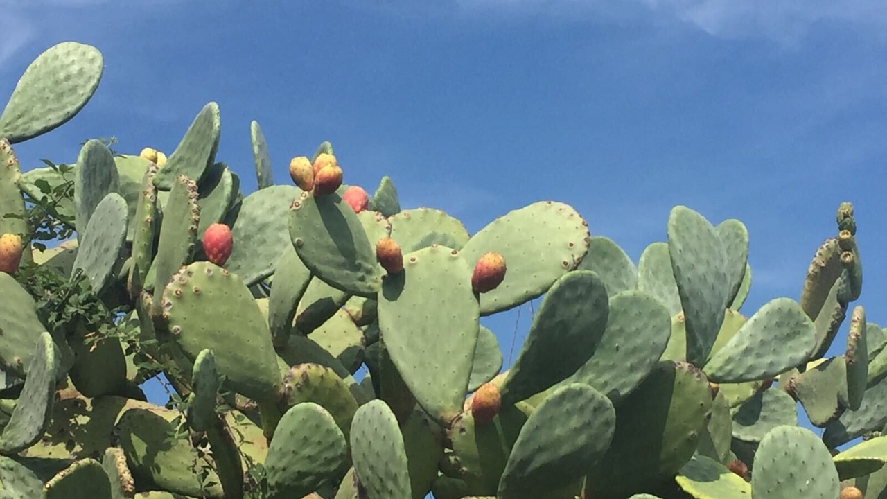 Photo of Outdoor in Milazzo