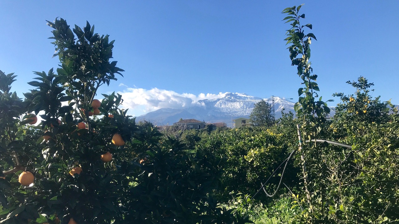Photo of Outdoor in Milazzo