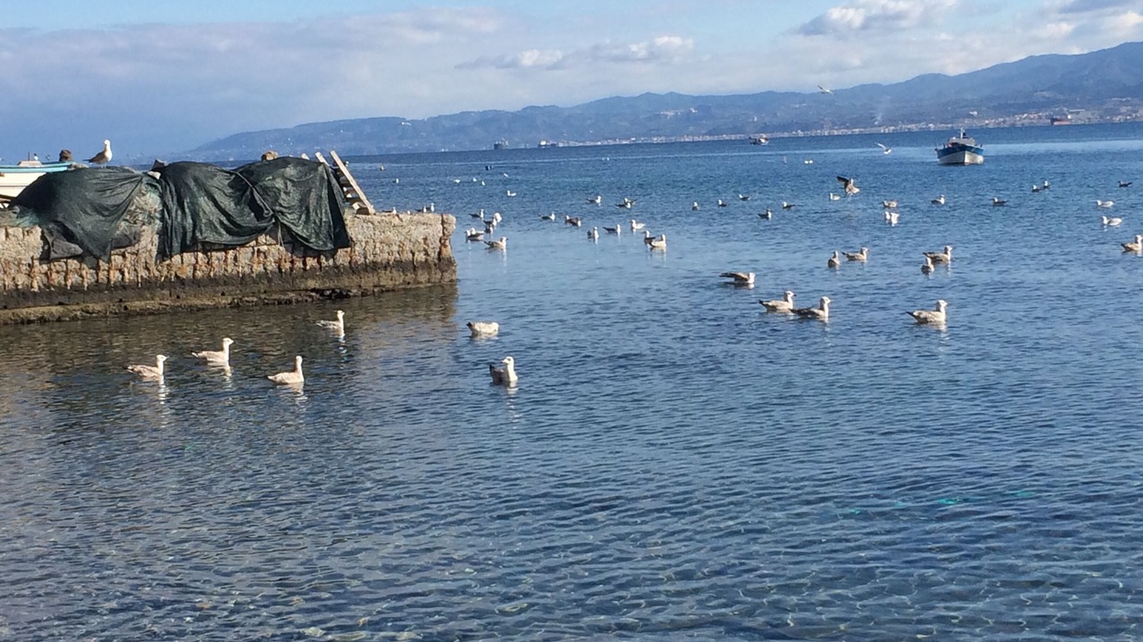 Photo of Outdoor in Milazzo