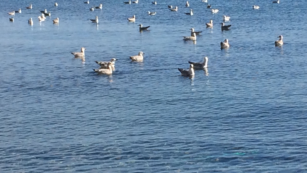 Photo of Others in Milazzo