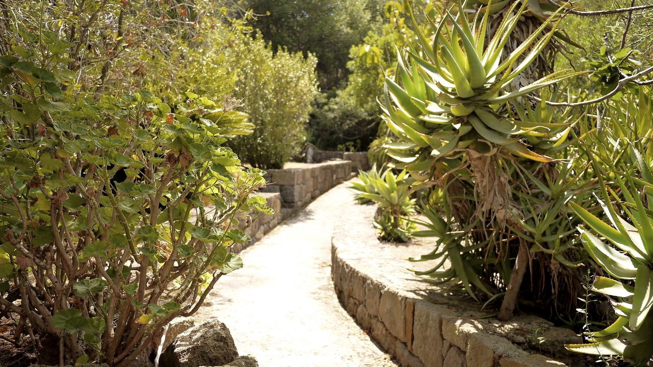 Photo of Outdoor in Panarea