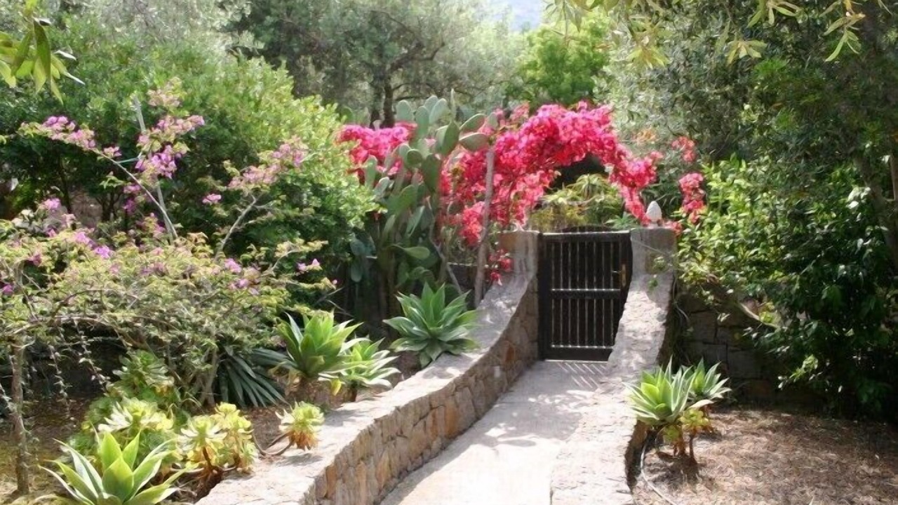 Photo of Outdoor in Panarea