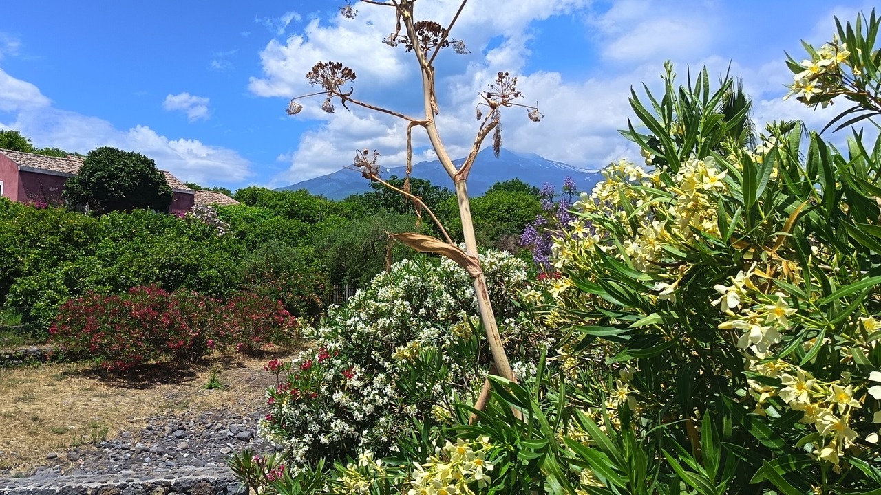 Photo of Outdoor in Sant'Anna