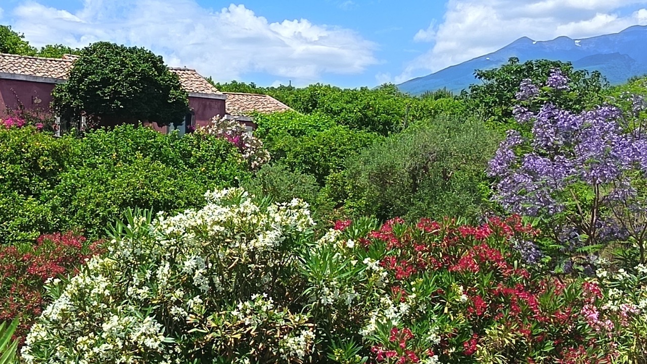 Photo of Outdoor in Sant'Anna