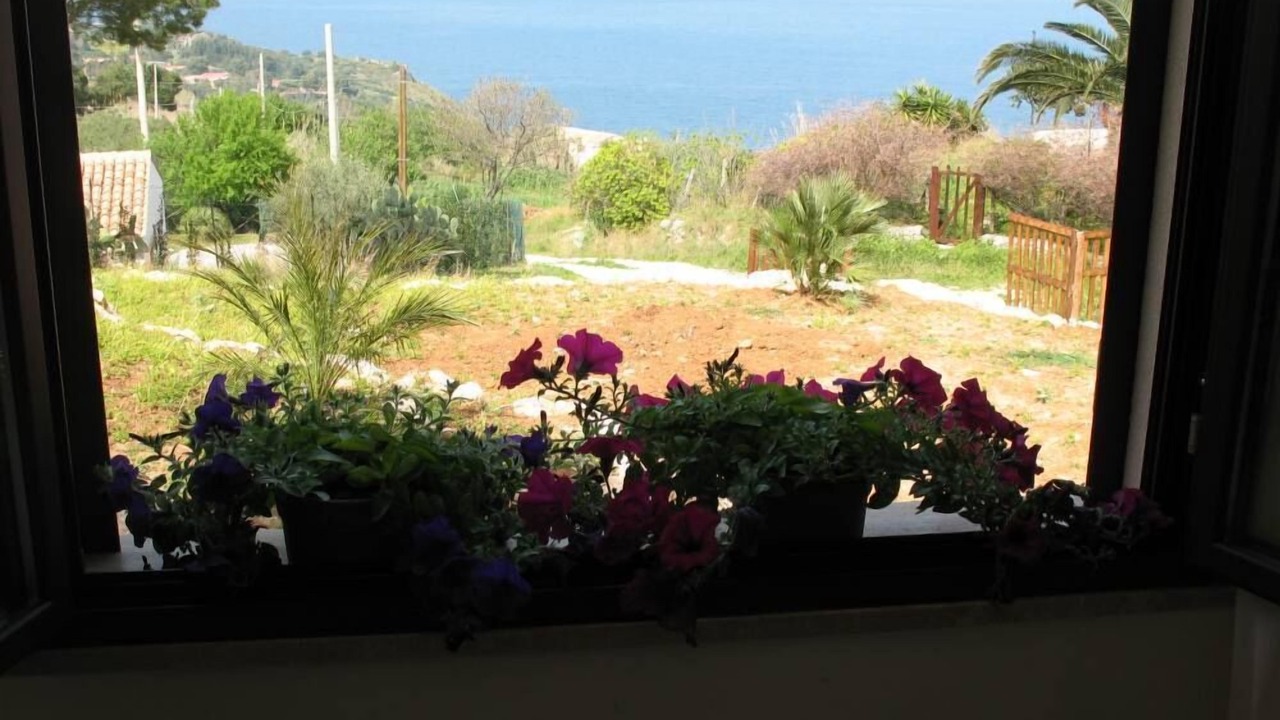 Photo of Others in Scopello