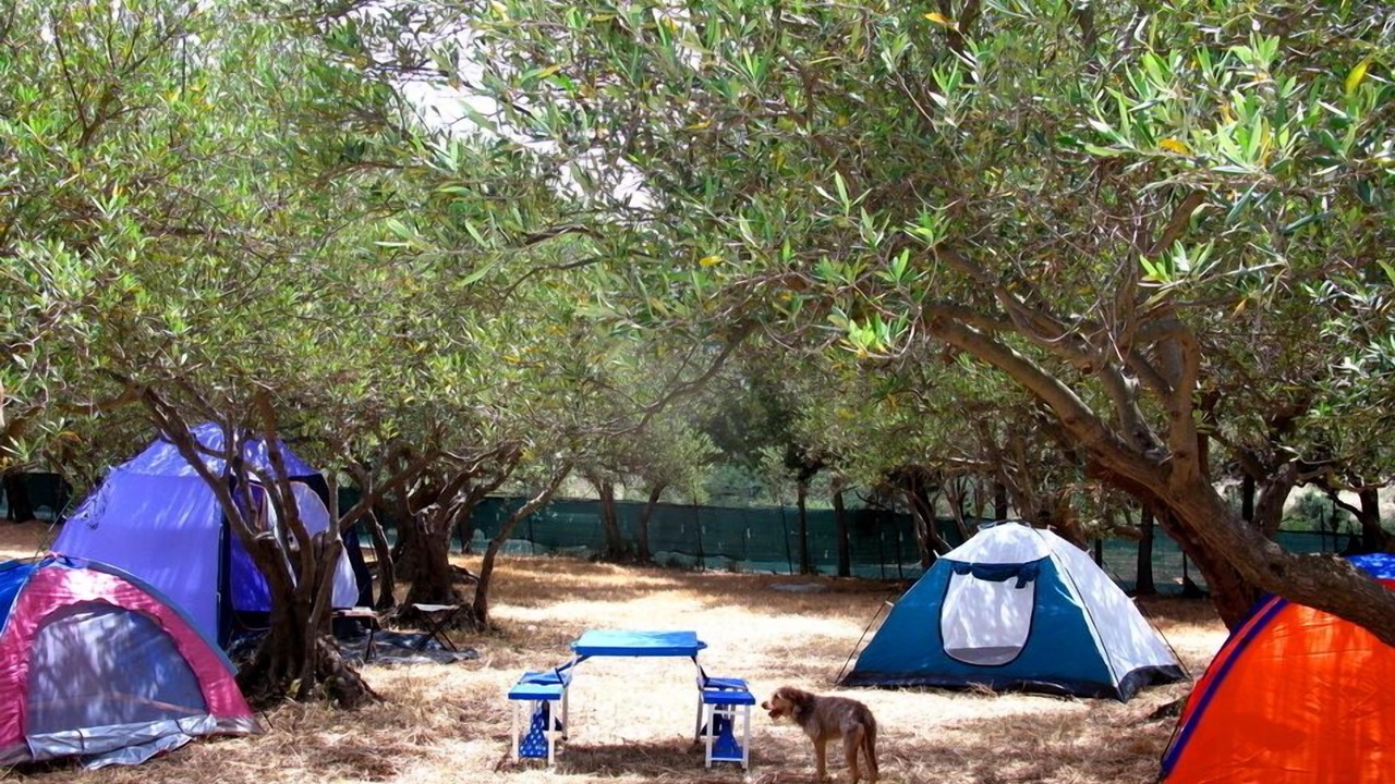 Photo of Bedroom in Calatafimi
