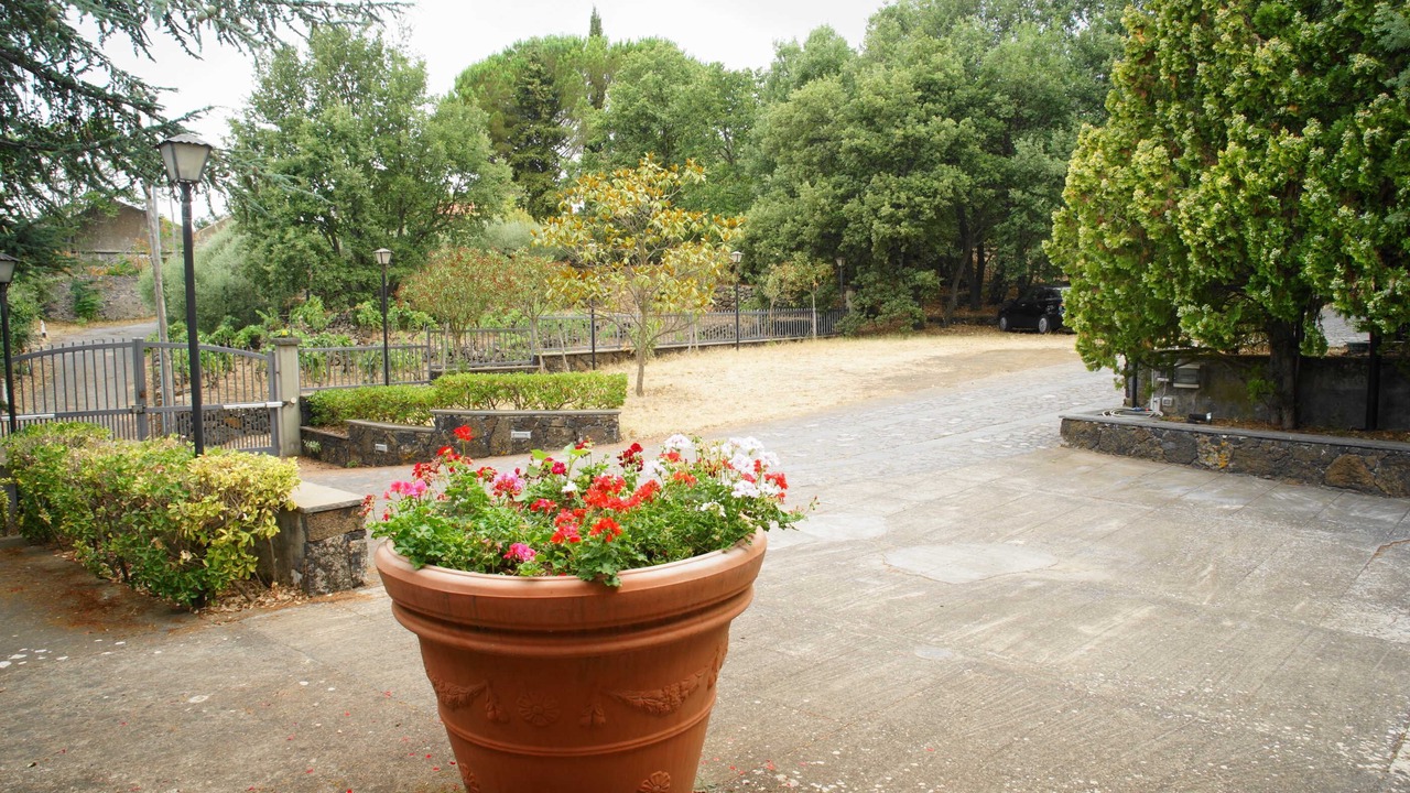 Photo of Outdoor in Ragalna