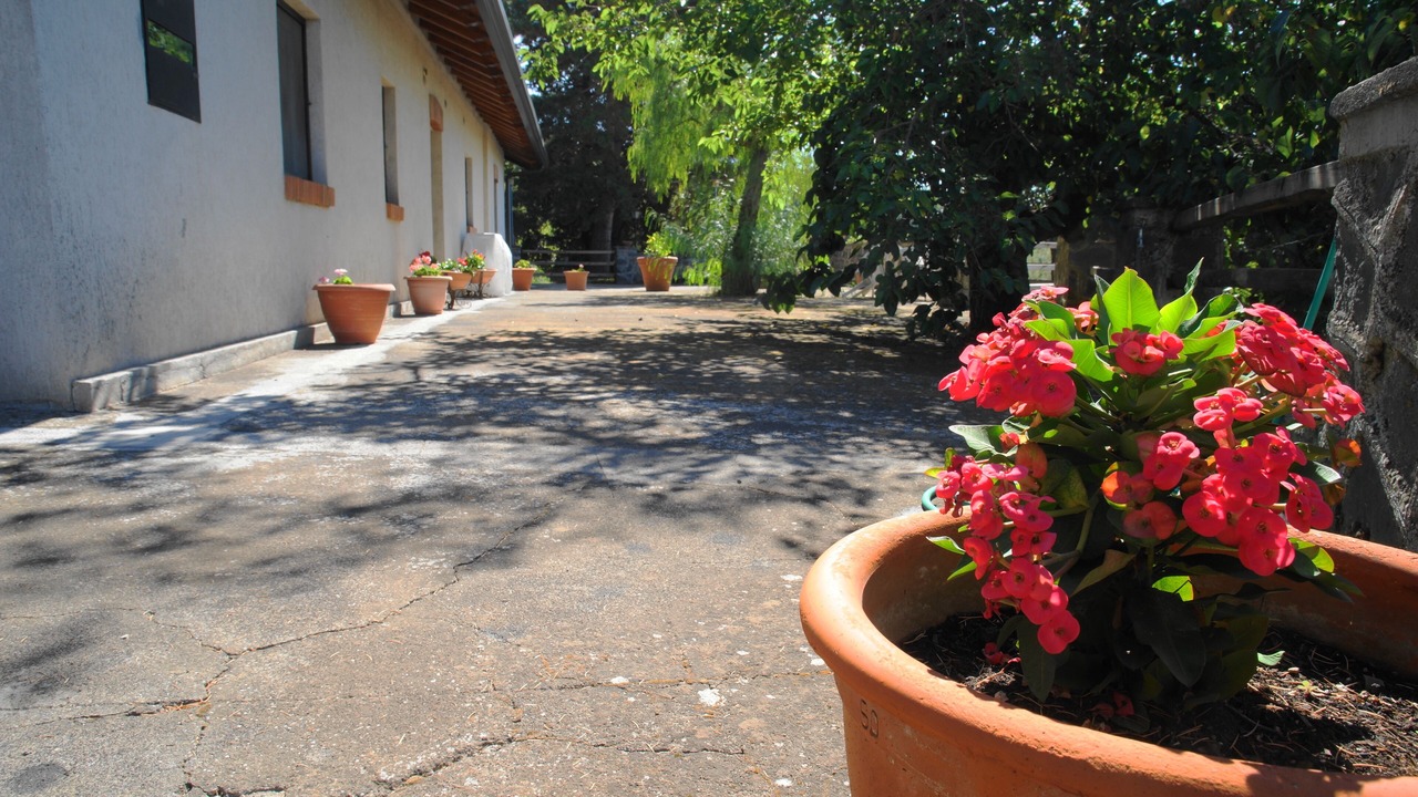 Photo of Outdoor in Ragalna