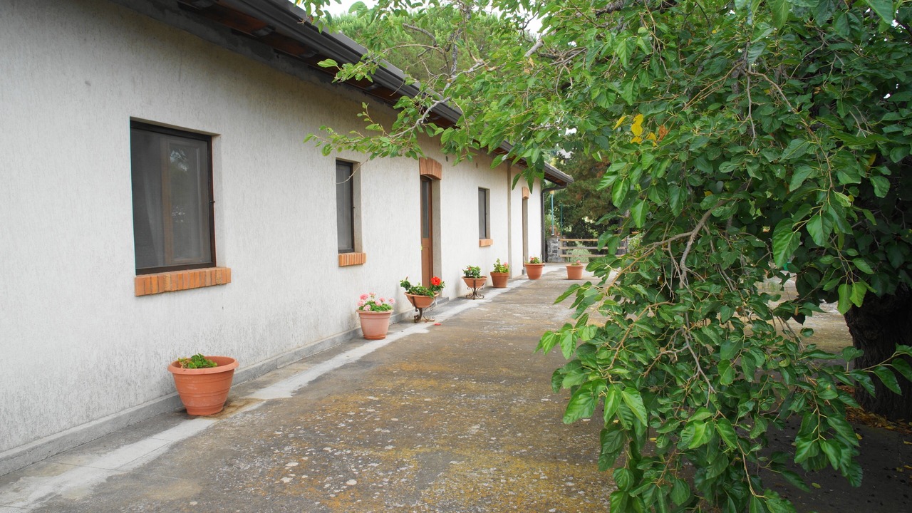 Photo of Outdoor in Ragalna
