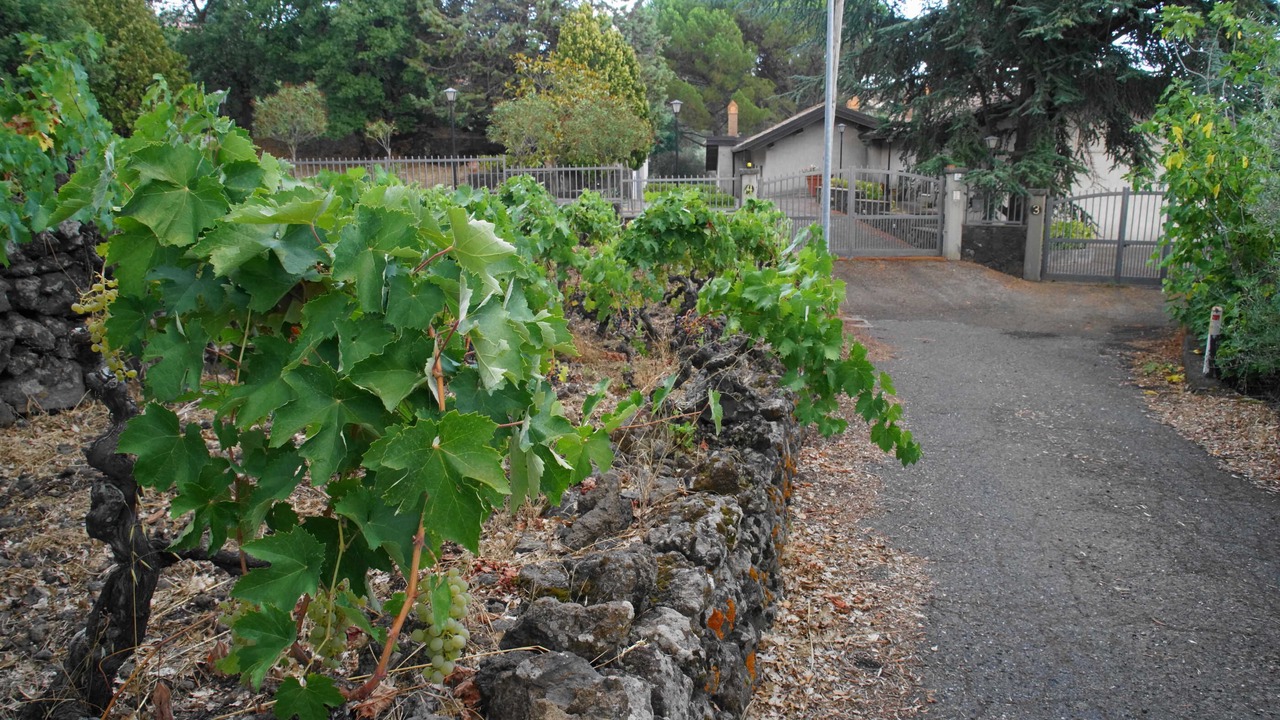 Photo of Outdoor in Ragalna