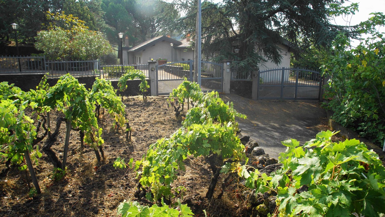 Photo of Outdoor in Ragalna