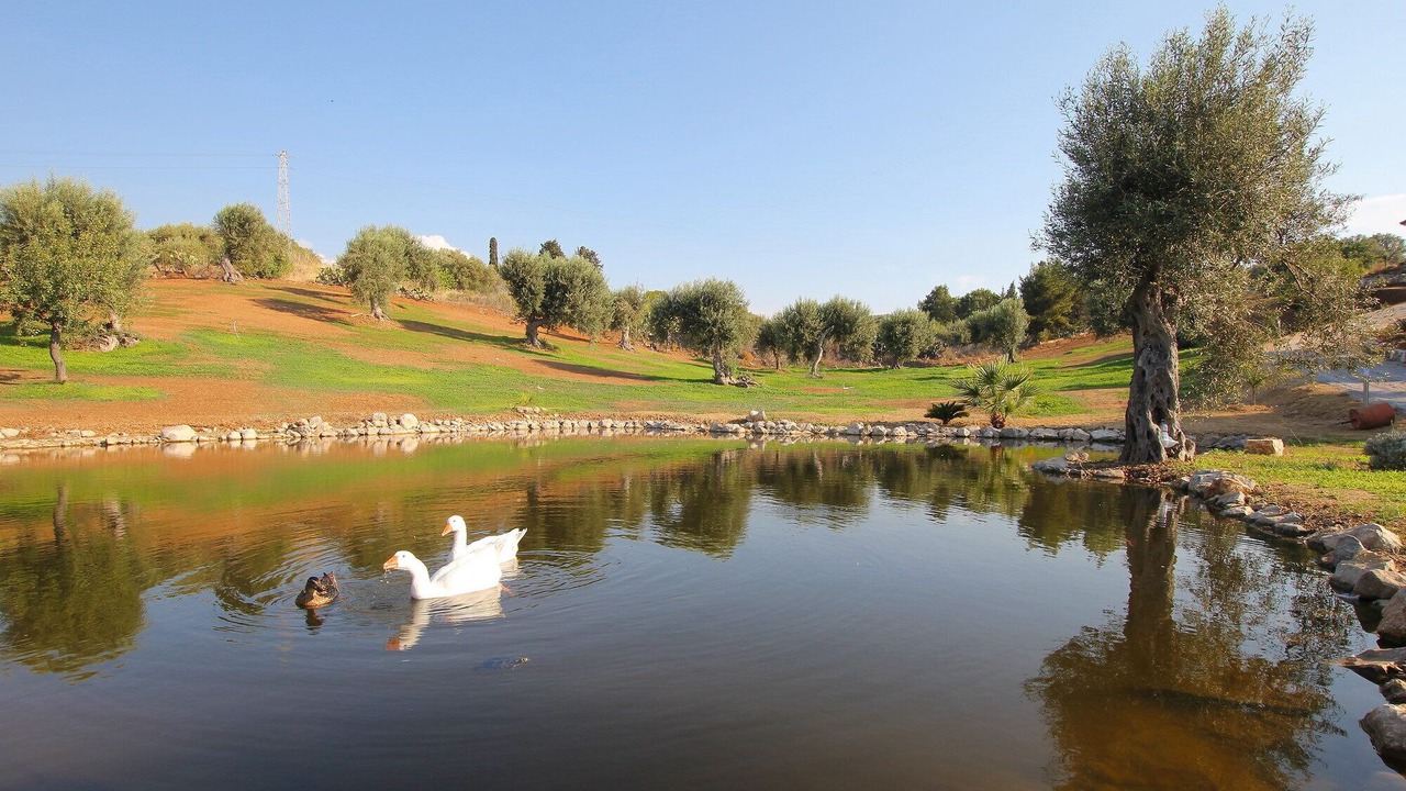 Photo of Outdoor in Campofelice di Roccella