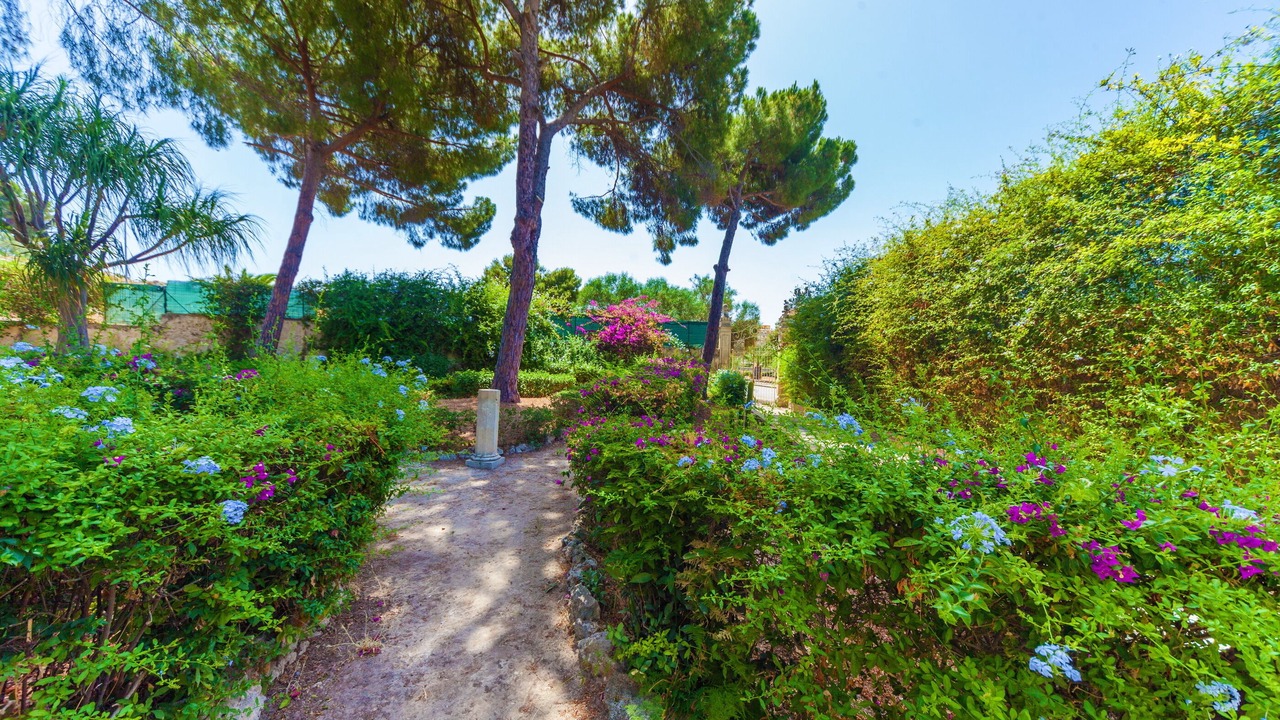 Photo of Outdoor in Acradina