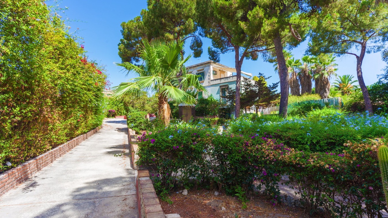 Photo of Outdoor in Acradina